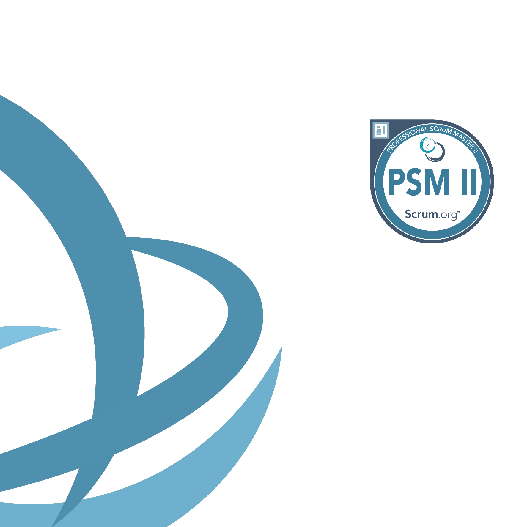 Professional Scrum Master II